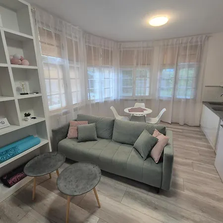 Apartments Center Kosice - Mudronova